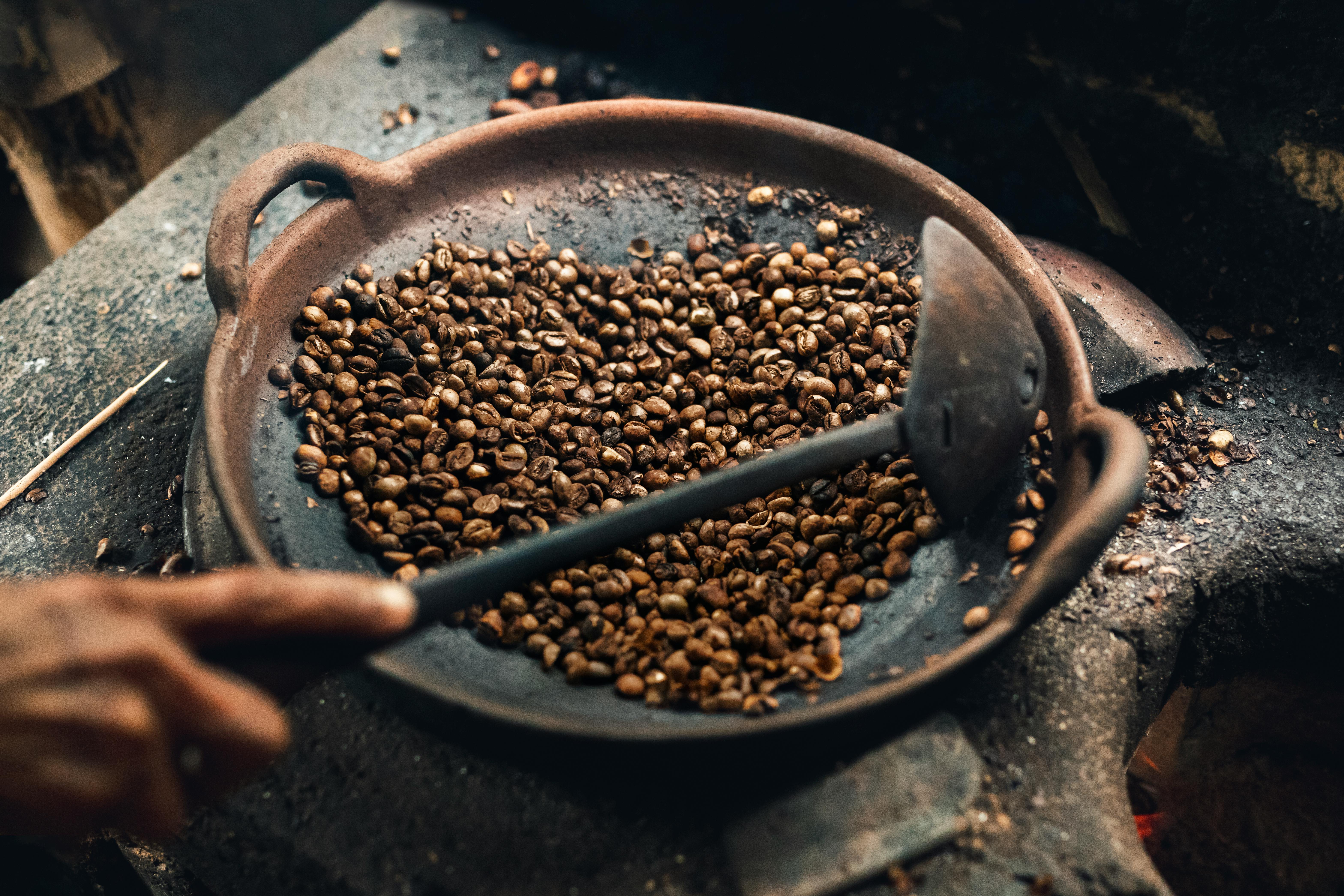Kopi Luwak Çekirdekleri